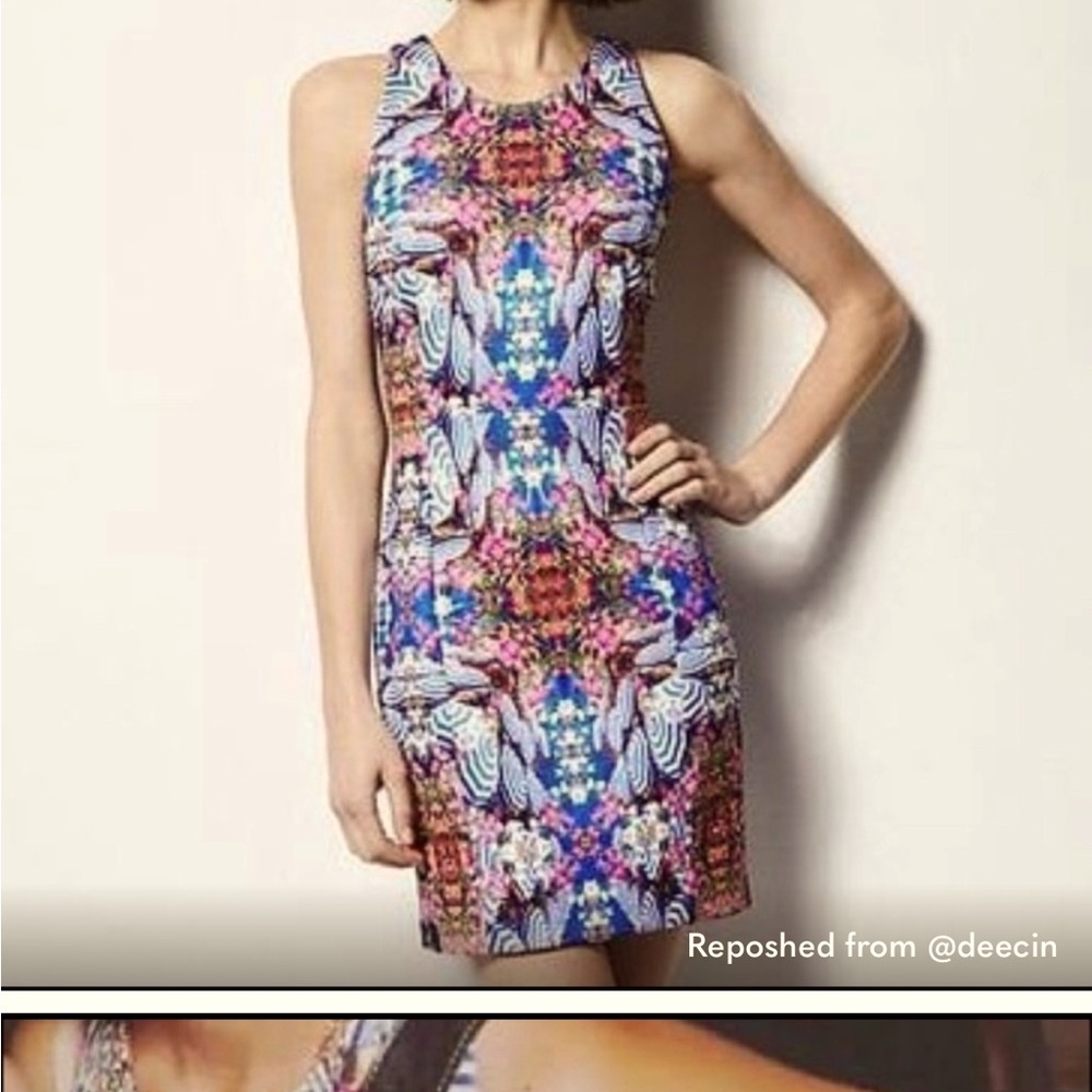 Milly Dress